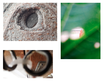 Media Literacy Practices with Resilience